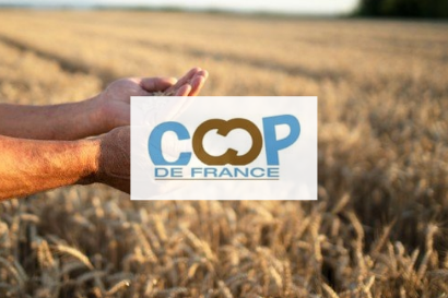 CRM, Web sur mesure, Conseil COOP DE FRANCE