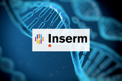 Web sur mesure INSERM